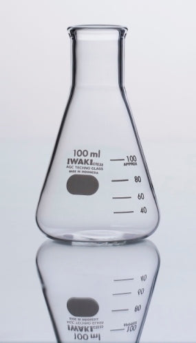 Iwaki 4980-250N Erlenmeyer Flask 250ml