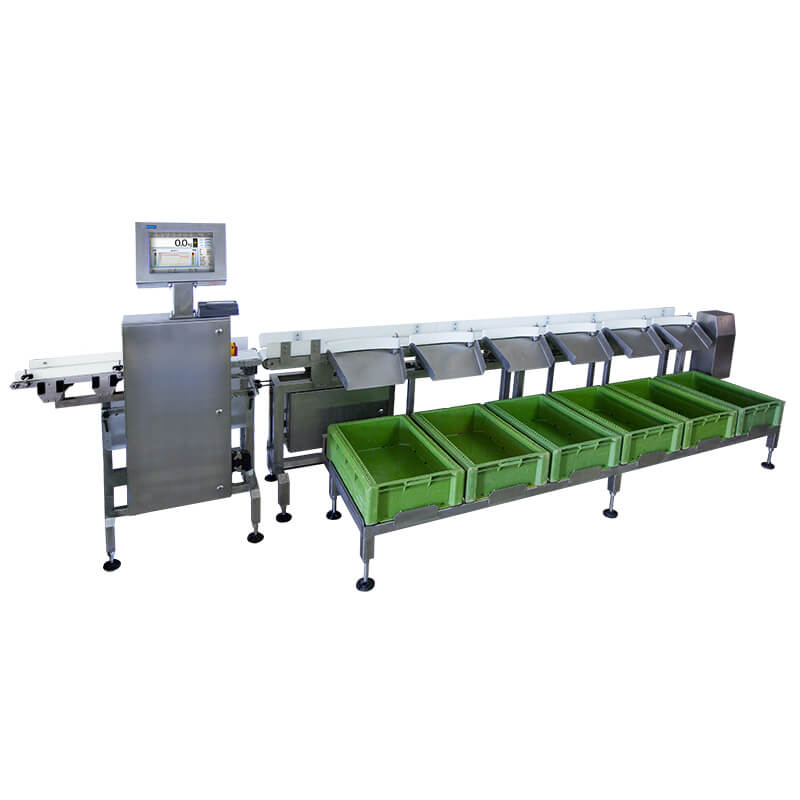 DWM HPS Checkweigher Sorting Scale