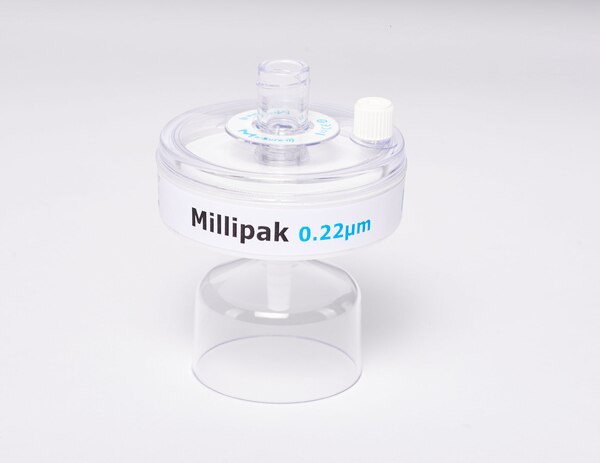 Millipak 0.22 µm filter