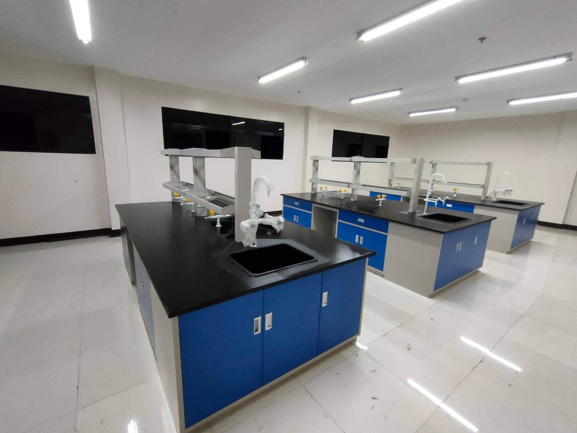 Laboratory furniture of sinks, tables, cabinets for lab use